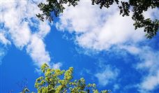 全国首座“零海拔天文观测站”交付投用！