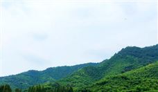 山西两企加快向数智化矿山建设和直径最大盾构机进发