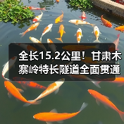 全长15.2公里!甘肃木寨岭特长隧道全面贯通 全长15.2公里!甘肃木寨岭特长隧道全面贯通