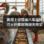 黄河上游首座八车道跨河大桥即将跨越天险实现“牵手” 黄河上游首座八车道跨河大桥即将跨越天险实现“牵手”