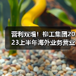 营利双增!柳工集团2023上半年海外业务营业收入超150亿元 营利双增!柳工集团2023上半年海外业务营业收入超150亿元