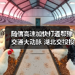 随信高速加快打通鄂豫交通大动脉 湖北交投投建 随信高速加快打通鄂豫交通大动脉 湖北交投投建