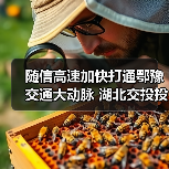 随信高速加快打通鄂豫交通大动脉 湖北交投投建