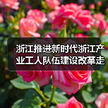 浙江推进新时代浙江产业工人队伍建设改革走深走实 浙江推进新时代浙江产业工人队伍建设改革走深走实