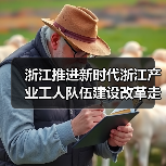 浙江推进新时代浙江产业工人队伍建设改革走深走实 浙江推进新时代浙江产业工人队伍建设改革走深走实