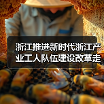 浙江推进新时代浙江产业工人队伍建设改革走深走实