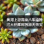 黄河上游首座八车道跨河大桥即将跨越天险实现“牵手” 黄河上游首座八车道跨河大桥即将跨越天险实现“牵手”