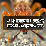从制造到智造!安徽高速公路为加快建设交通强国提供助力 从制造到智造!安徽高速公路为加快建设交通强国提供助力