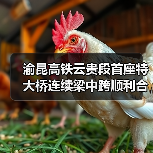 渝昆高铁云贵段首座特大桥连续梁中跨顺利合龙 渝昆高铁云贵段首座特大桥连续梁中跨顺利合龙