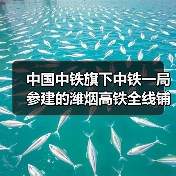 中国中铁旗下中铁一局参建的潍烟高铁全线铺轨贯通! 中国中铁旗下中铁一局参建的潍烟高铁全线铺轨贯通!