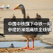 中国中铁旗下中铁一局参建的潍烟高铁全线铺轨贯通! 中国中铁旗下中铁一局参建的潍烟高铁全线铺轨贯通!