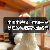中国中铁旗下中铁一局参建的潍烟高铁全线铺轨贯通! 中国中铁旗下中铁一局参建的潍烟高铁全线铺轨贯通!