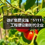 徐矿集团实施“51111”工程建设新时代企业家队伍