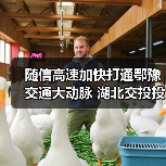 随信高速加快打通鄂豫交通大动脉 湖北交投投建 随信高速加快打通鄂豫交通大动脉 湖北交投投建