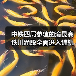 中铁四局参建的渝昆高铁川渝段全面进入铺轨阶段! 中铁四局参建的渝昆高铁川渝段全面进入铺轨阶段!