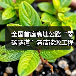 全国首座高速公路“零碳隧道”清洁能源工程正式开工! 全国首座高速公路“零碳隧道”清洁能源工程正式开工!
