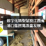 数字化转型赋能江西省港口集团高质量发展