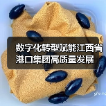 数字化转型赋能江西省港口集团高质量发展(图2) 数字化转型赋能江西省港口集团高质量发展(图2)