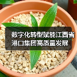 数字化转型赋能江西省港口集团高质量发展(图4) 数字化转型赋能江西省港口集团高质量发展(图4)