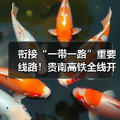 衔接“一带一路”重要线路!贵南高铁全线开通运营(图2) 衔接“一带一路”重要线路!贵南高铁全线开通运营(图2)
