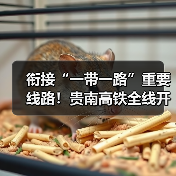 衔接“一带一路”重要线路!贵南高铁全线开通运营(图3) 衔接“一带一路”重要线路!贵南高铁全线开通运营(图3)