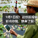 9月1日起!这些新规将影响你我,快来了解一下!(图4) 9月1日起!这些新规将影响你我,快来了解一下!(图4)