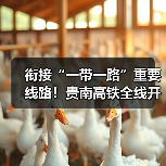 衔接“一带一路”重要线路!贵南高铁全线开通运营(图4) 衔接“一带一路”重要线路!贵南高铁全线开通运营(图4)