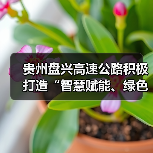 贵州盘兴高速公路积极打造“智慧赋能、绿色出行”示范样板(图3) 贵州盘兴高速公路积极打造“智慧赋能、绿色出行”示范样板(图3)