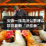 安徽一批高速公路建设项目刷新“进度条”(图4) 安徽一批高速公路建设项目刷新“进度条”(图4)