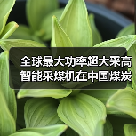 全球最大功率超大采高智能采煤机在中国煤炭科工问世(图3) 全球最大功率超大采高智能采煤机在中国煤炭科工问世(图3)