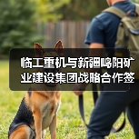 临工重机与新疆鸣阳矿业建设集团战略合作签约(图3) 临工重机与新疆鸣阳矿业建设集团战略合作签约(图3)