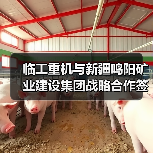 临工重机与新疆鸣阳矿业建设集团战略合作签约(图4) 临工重机与新疆鸣阳矿业建设集团战略合作签约(图4)