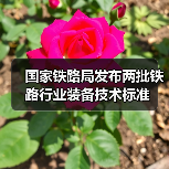 国家铁路局发布两批铁路行业装备技术标准