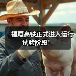 福厦高铁正式进入运行试验阶段!(图4) 福厦高铁正式进入运行试验阶段!(图4)