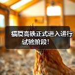 福厦高铁正式进入运行试验阶段!(图3) 福厦高铁正式进入运行试验阶段!(图3)