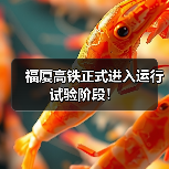 福厦高铁正式进入运行试验阶段！