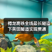 梅龙高铁全线最长隧道下黄田隧道实现贯通(图4) 梅龙高铁全线最长隧道下黄田隧道实现贯通(图4)
