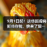 9月1日起!这些新规将影响你我,快来了解一下!(图3) 9月1日起!这些新规将影响你我,快来了解一下!(图3)