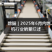 数据 | 2025年6月内燃机行业销量综述(图2) 数据 | 2025年6月内燃机行业销量综述(图2)