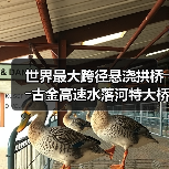 世界最大跨径悬浇拱桥――古金高速水落河特大桥完成拱圈合龙