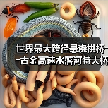 世界最大跨径悬浇拱桥――古金高速水落河特大桥完成拱圈合龙(图4) 世界最大跨径悬浇拱桥――古金高速水落河特大桥完成拱圈合龙(图4)