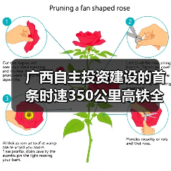 广西自主投资建设的首条时速350公里高铁全线开始铺轨