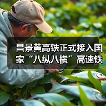 昌景黄高铁正式接入国家“八纵八横”高速铁路网