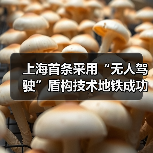 上海首条采用“无人驾驶”盾构技术地铁成功始发!(图4) 上海首条采用“无人驾驶”盾构技术地铁成功始发!(图4)