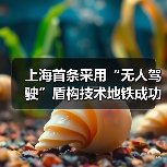 上海首条采用“无人驾驶”盾构技术地铁成功始发！