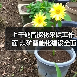 上千处智能化采掘工作面 煤矿智能化建设全面提速(图3) 上千处智能化采掘工作面 煤矿智能化建设全面提速(图3)