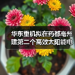 华东重机拟在药都亳州建第二个高效太阳能电池片基地(图3) 华东重机拟在药都亳州建第二个高效太阳能电池片基地(图3)