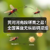 黄河河南段塔高之最!全国首座无纵筋钢混组合塔成功封顶(图4) 黄河河南段塔高之最!全国首座无纵筋钢混组合塔成功封顶(图4)