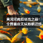 黄河河南段塔高之最!全国首座无纵筋钢混组合塔成功封顶(图2) 黄河河南段塔高之最!全国首座无纵筋钢混组合塔成功封顶(图2)