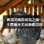 黄河河南段塔高之最！全国首座无纵筋钢混组合塔成功封顶